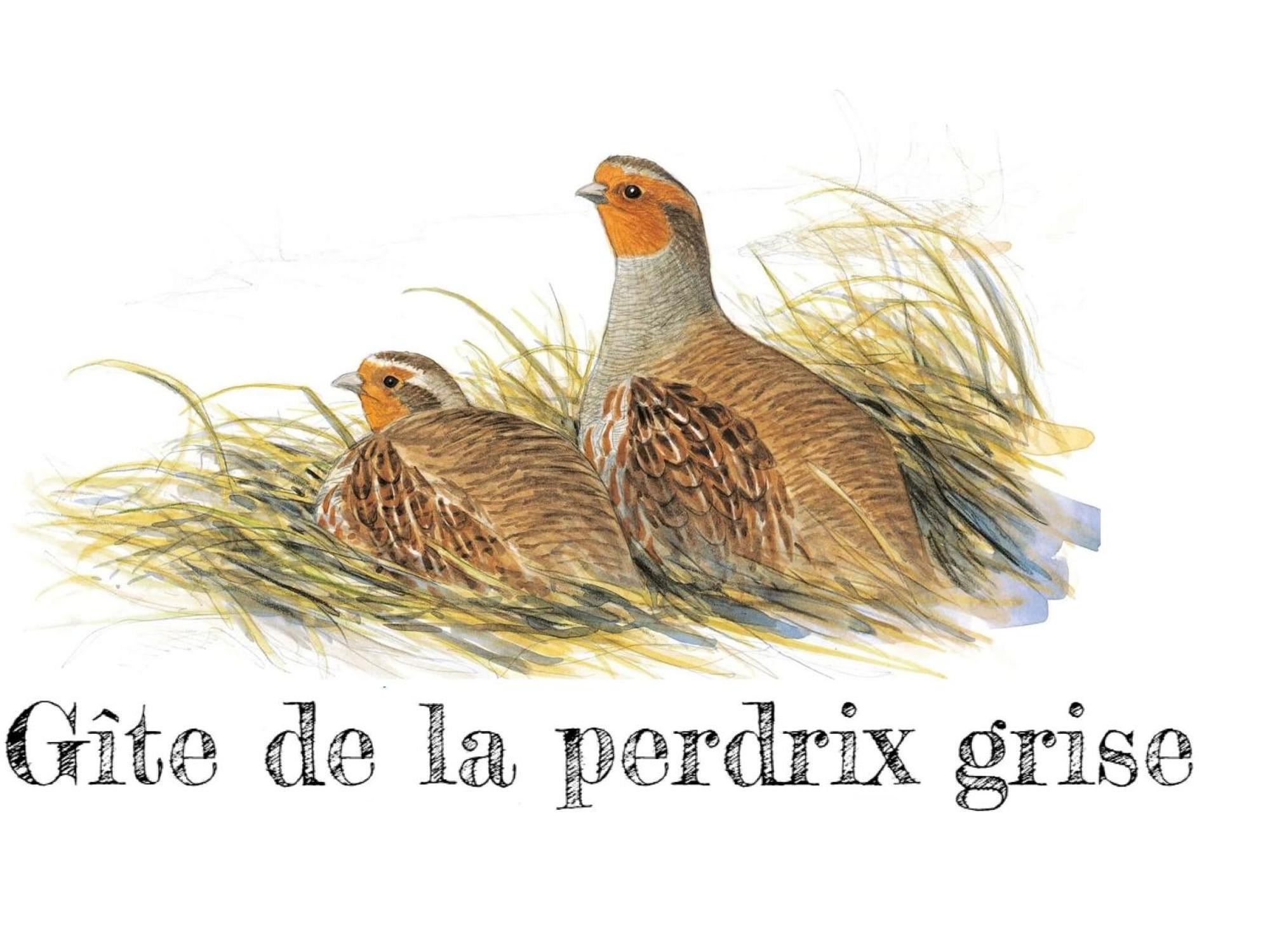 Charmante Maison De Campagne Avec Jardin Prive, Pres De Paris Et Orleans, Ideale Pour Familles - Fr-1-590-136 Audeville 외부 사진